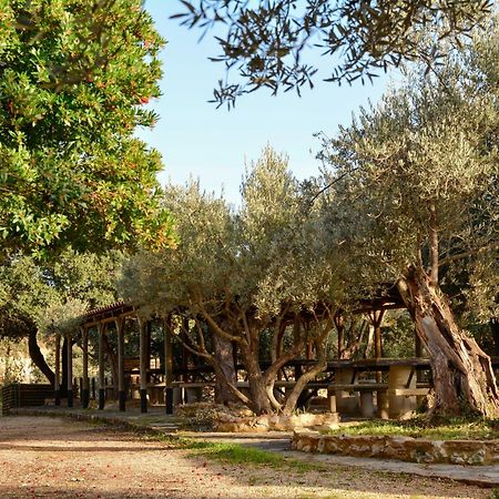 Camping Alquézar Exterior foto