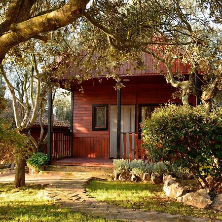 Camping Alquézar Exterior foto